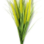 Jardin Vertical Planta Ramo Verde M1 -sheshu