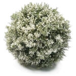 Esfera Decoracion Cesped Artificial N°121 W / 23cm /