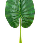 Jardin Vertical Artificial Muro Planta 30x28cm