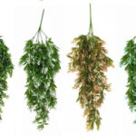 Jardin Vertical Artificial Planta Colgante M14 –