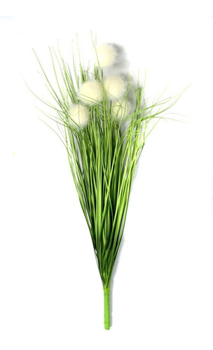 Jardin Vertical Planta Ramo Verde M3 -sheshu