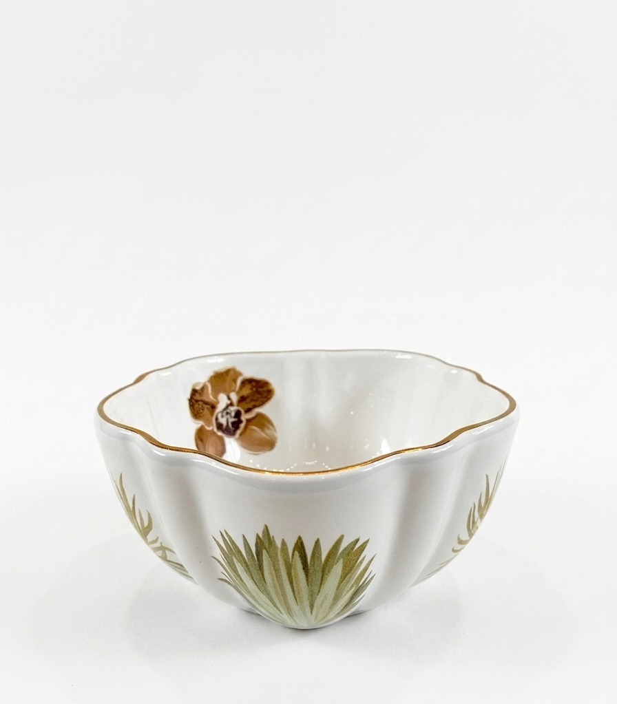 Bowl Porcelana Agua de Coco Setx6