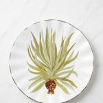 Plato de Postre Porcelana Agua de Coco Setx6