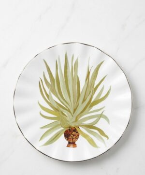 Plato de Postre Porcelana Agua de Coco Setx6 - Bazar