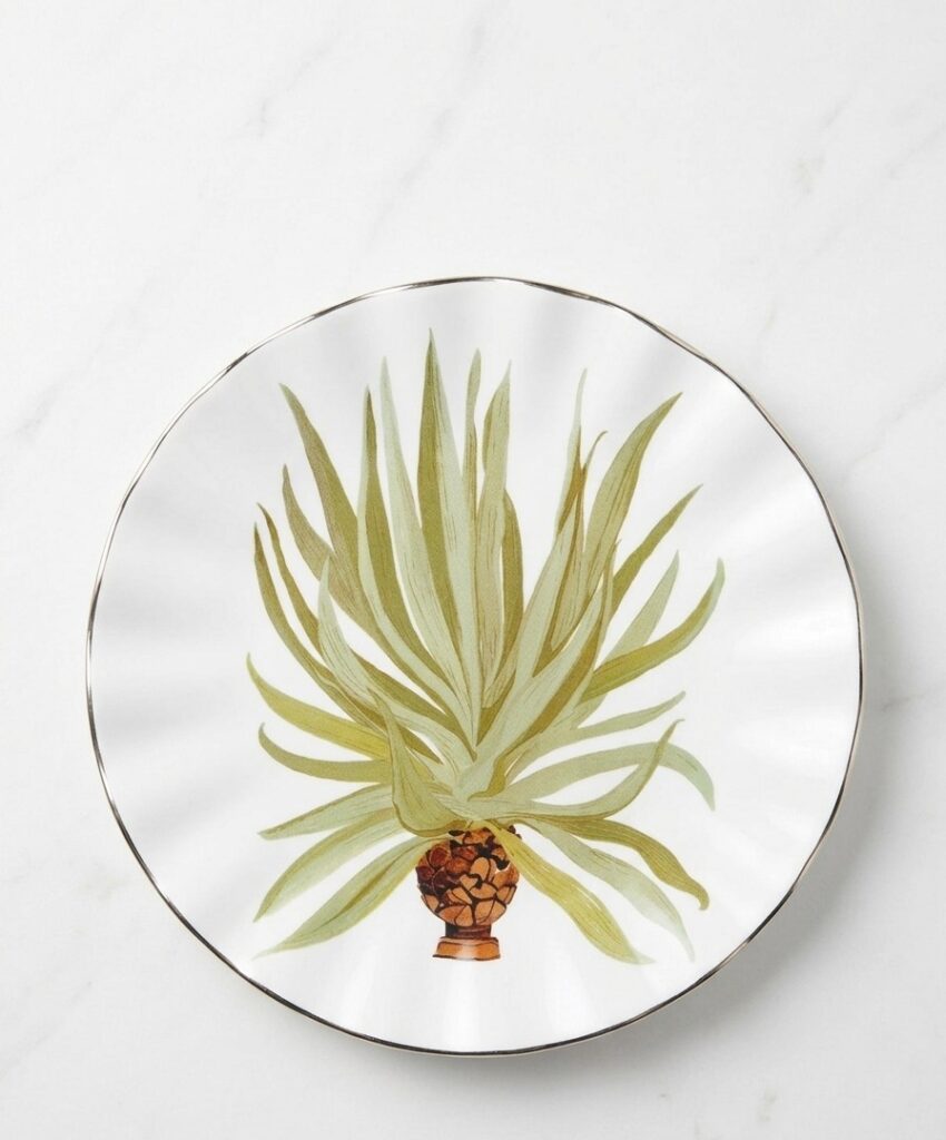 Plato de Postre Porcelana Agua de Coco Setx6