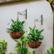 Porta macetas colgante fibra de coco planta M4 s - Imagen 4
