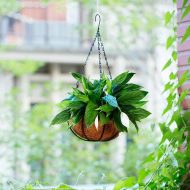 Porta macetas colgante fibra de coco planta M4 s - Imagen 3